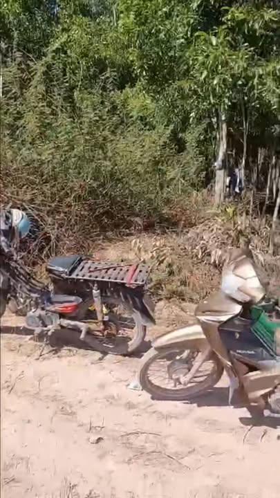 Đất Farm 56,000m² tại Xã Tân Hội, Tân Châu, Tây Ninh - Cơ hội đầu tư sinh lời!