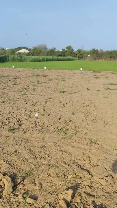 Đất nền Phường 5 Gò Công 120m² giá 650 triệu - Sổ hồng đầy đủ, vị trí đẹp!