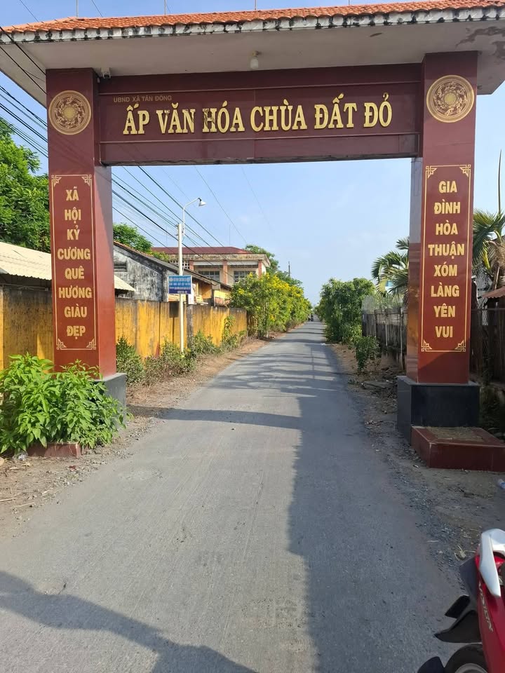 Đất nền Ấp Chùa Đất Đỏ, Xã Tân Đông, 227m² giá 480 triệu - Cơ hội đầu tư hấp dẫn!