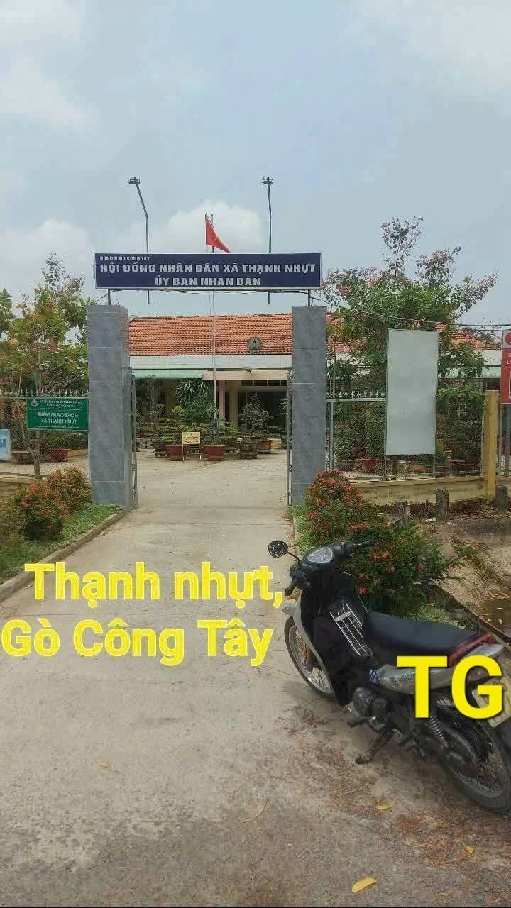 Đất nền 3018m² tại Thạnh Nhựt, Gò Công Tây - Giá chỉ 1.2 tỷ!