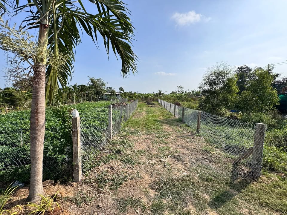 Đất vườn thổ cư 328m² tại Thủ Khoa Huân, Đồng Tháp - Giá chỉ 1.45 tỷ!