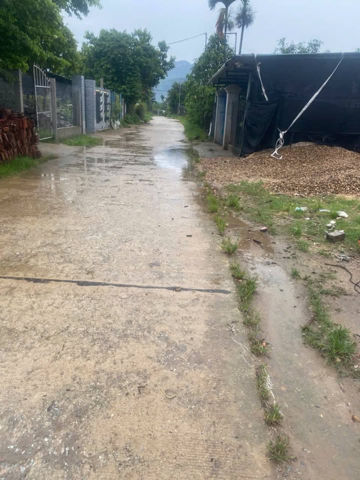 Đất nền Nghĩa Thắng, Tư Nghĩa 100m² giá chỉ 300 triệu - Cơ hội đầu tư tuyệt vời!