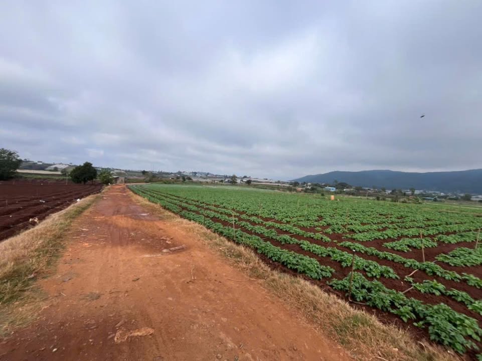 Đất 2 mặt tiền Thạnh Mỹ, 2800m² giá 3.8 tỷ - Cơ hội đầu tư hiếm có!