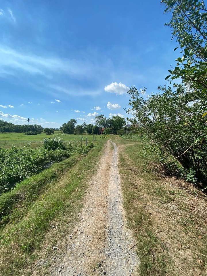 Đất thổ cư 410m² tại Phường An Tịnh, Trảng Bàng, Tây Ninh - Giá chỉ 150 triệu