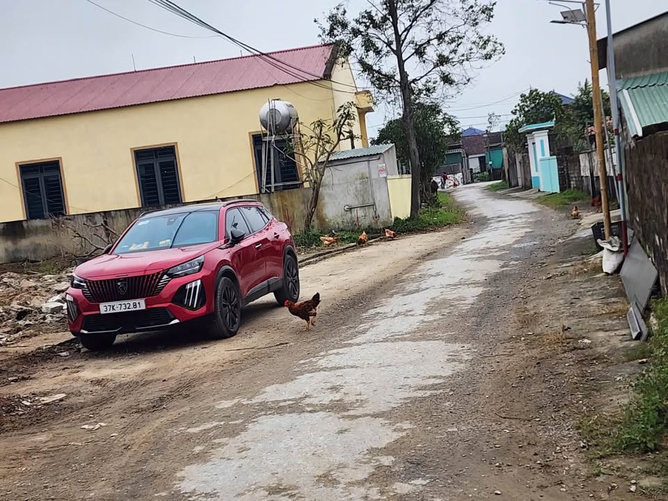 Đất nền Xóm Thái Học, Nghi Thái 100m² - Bán gấp lô góc 2 mặt tiền!