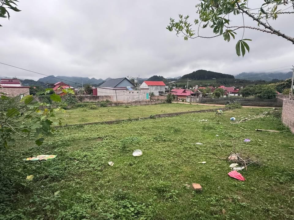 Đất nền Mộc Sơn, Mộc Châu 271m² giá 3 tỷ - View rừng thông tuyệt đẹp!