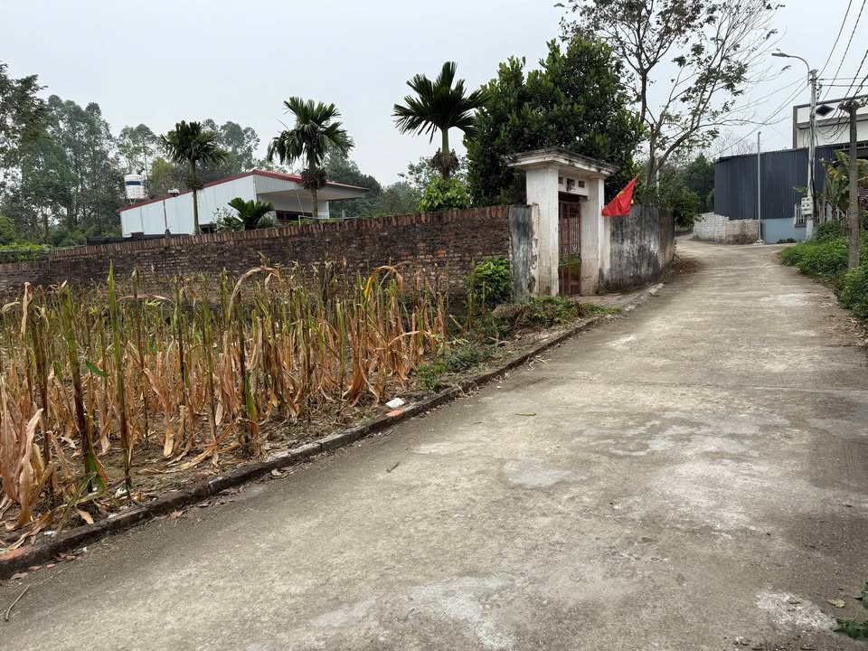 Đất thổ cư 100m² tại Thôn Gô, Kim Long - Giá chỉ 700 triệu - Đầu tư sinh lời!