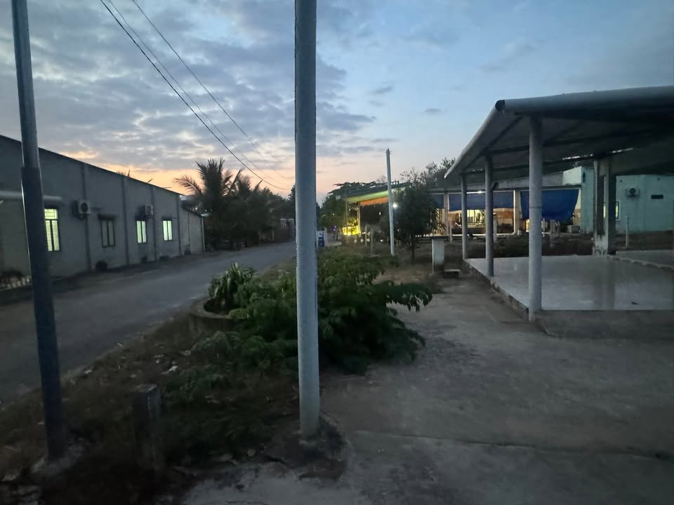 Đất thổ cư Phường An Tây 200m² giá chỉ 1 tỷ - Cơ hội đầu tư tuyệt vời!