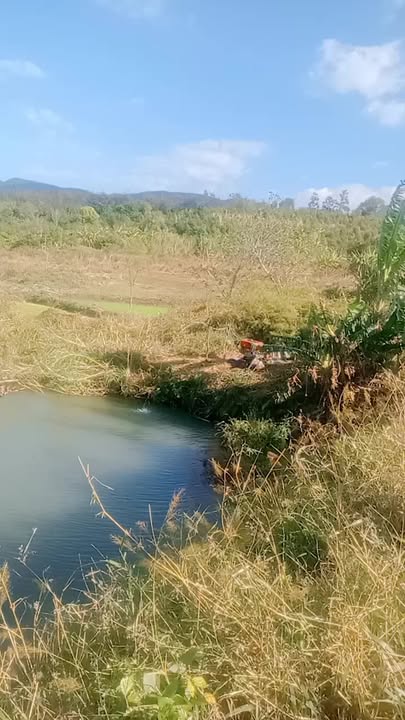 Đất đỏ 10,5ha tại Mang Yang, Gia Lai - Đầu tư nông nghiệp lý tưởng!