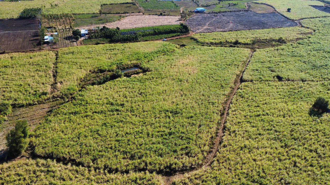 Đất nông nghiệp 2ha tại xã H Bông, huyện Chư Sê - Giá thỏa thuận hấp dẫn!