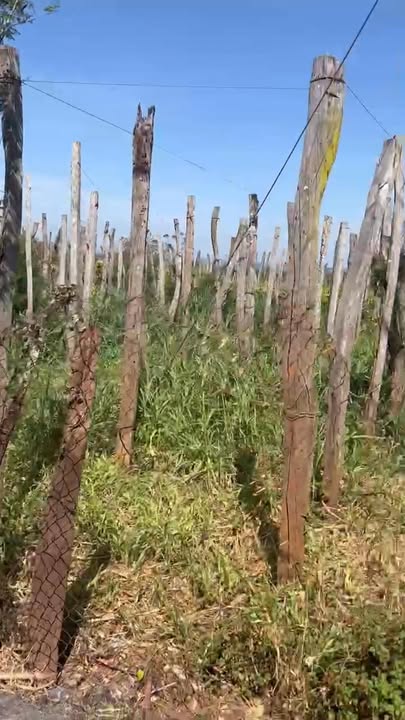 Đất nền 330m² tại Thôn Hòa Bình, Xã Chư Don, giá 2.97 tỷ - Cơ hội vàng đầu tư!