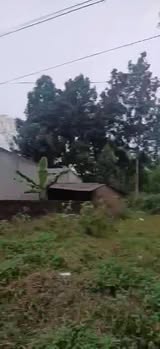 Đất nền 100m² xã An Đạo, Phù Ninh giá chỉ 1 tỷ - Đầu tư sinh lời bền vững!