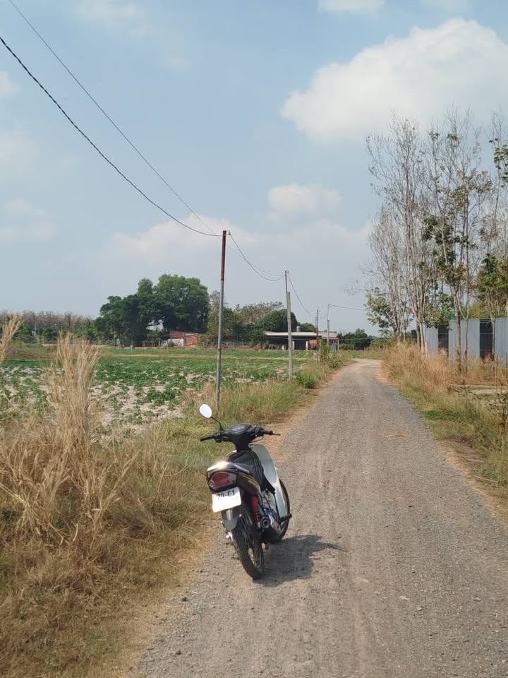 Đất thổ cư 155m² tại Hẻm 35 Trần Văn Trà, Tây Ninh - Giá chỉ 389 triệu!