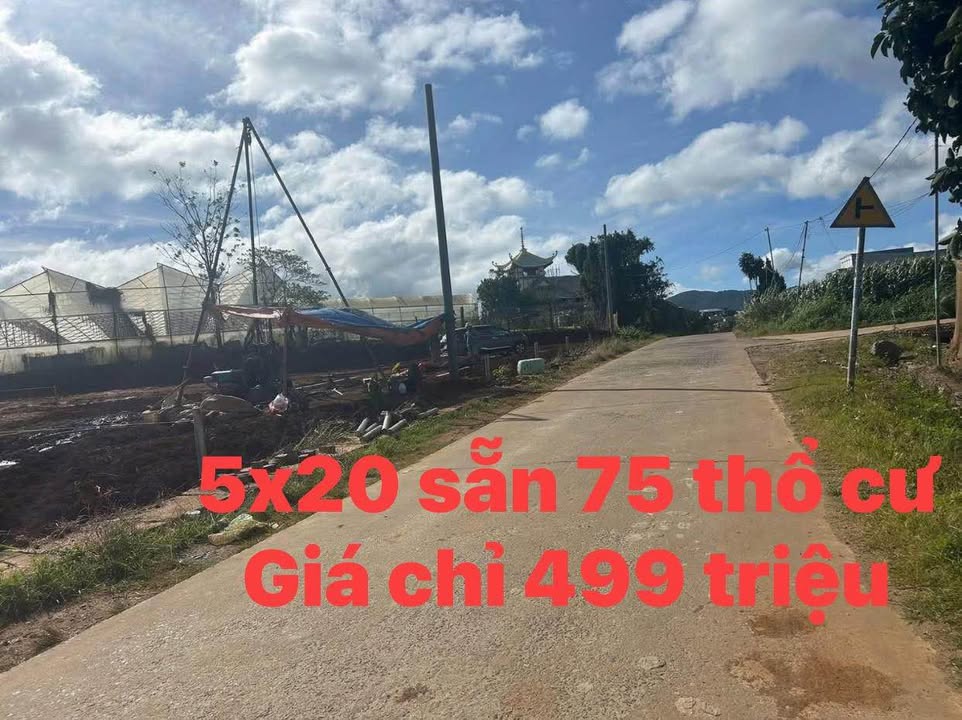 Đất thổ cư 100% tại Đường số 8, Đà Lạt - Chỉ 499 triệu!