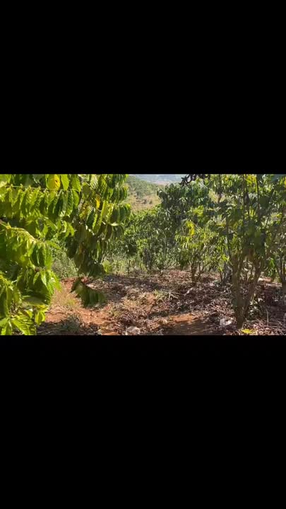 Đất nền 2.6ha tại Xã Tân Thanh, Lâm Hà chỉ 5.6 tỷ - Đầu tư sinh lời ngay!