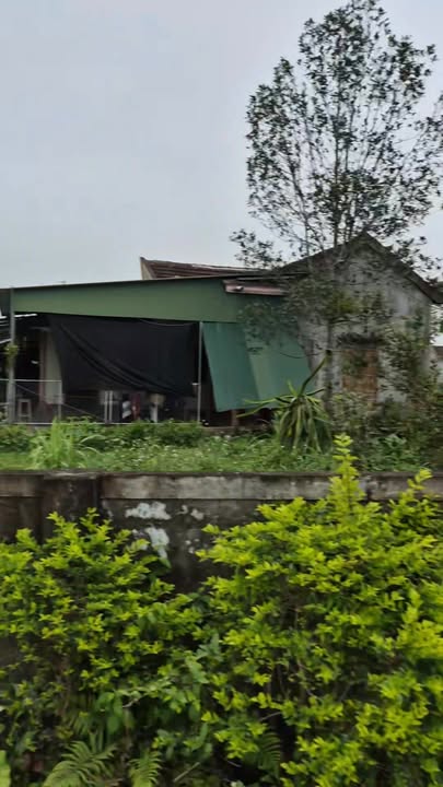 Đất thổ cư 184m² tại xã Việt Tiến, huyện Thạch Hà - Giá chỉ 500 triệu