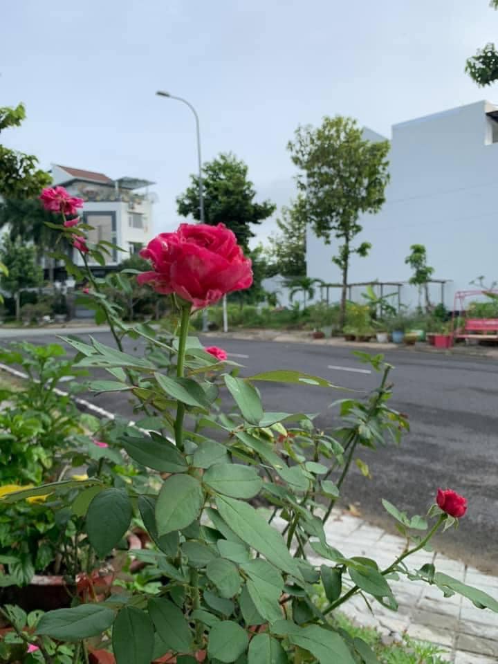 Nền biệt thự liên lập KDC Vạn Hưng Phú 154m² - Đầu tư sinh lời ngay!