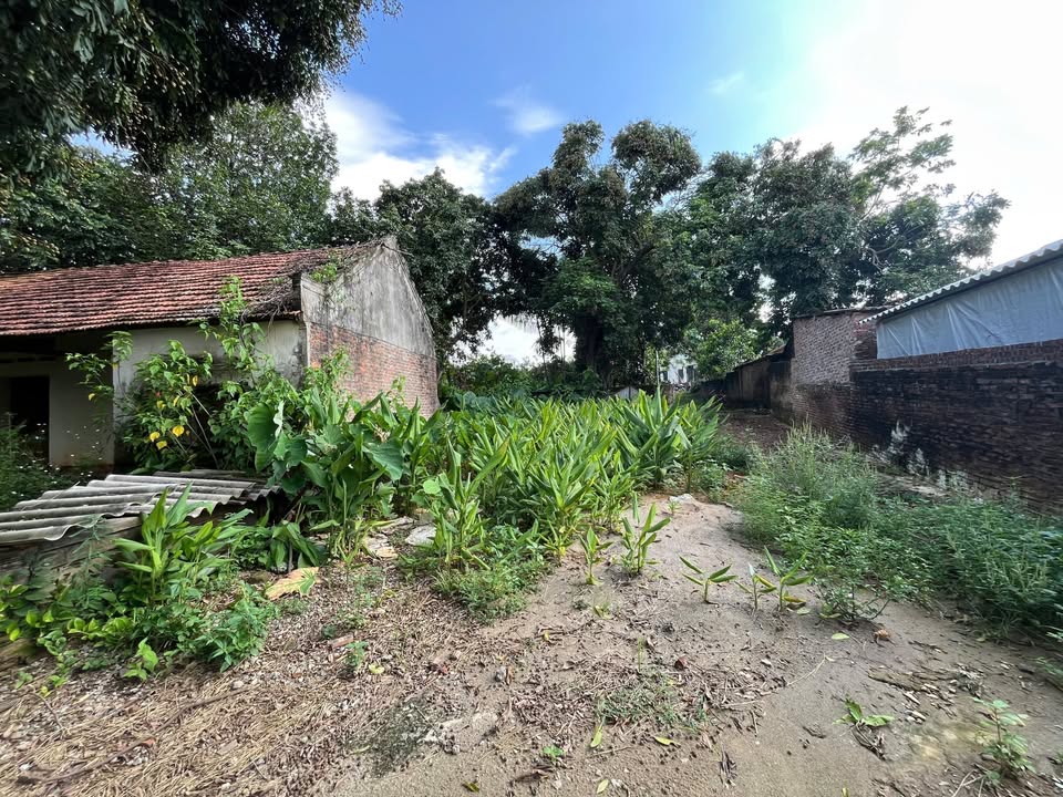 Đất nền Ba Vì 1.870m² giá 4 tỷ - Địa thế phong thủy tuyệt đẹp!