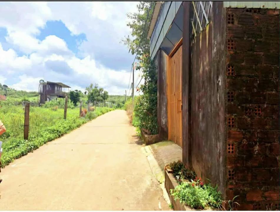 Đất hẻm chính đường Lý Chính Thắng, Quận 3, 70m² - Giá chỉ 500 triệu!