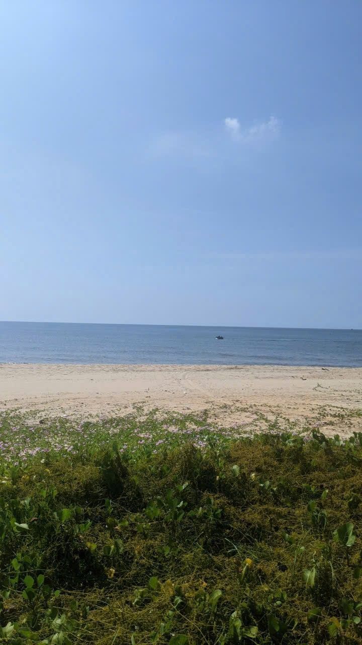 Đất 2 mặt tiền giáp biển Lạc Long Quân, 367m² giá 10.999 tỷ - Cơ hội đầu tư hấp dẫn!