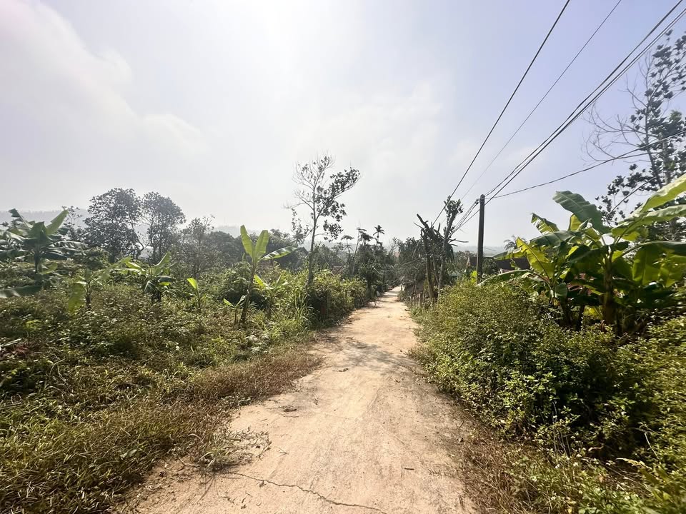 Đất vườn 500m² tại Xóm 8, Nam Xuân chỉ 1,5 tỷ - Đường ô tô tới nơi!