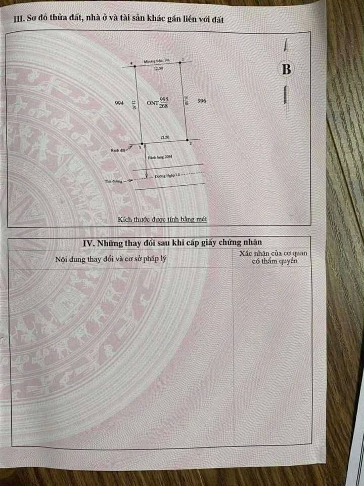 Đất mặt đường 10 Liên Tỉnh Nghệ An 268m² - Kinh doanh sầm uất!