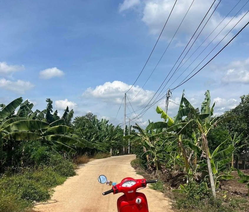 Đất nền Phú Túc, Châu Thành 1300m² giá 950 triệu - Cơ hội đầu tư tuyệt vời!