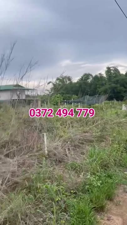 Đất nền 360m² tại xã Phú Túc, huyện Định Quán - Giá chỉ 550 triệu!