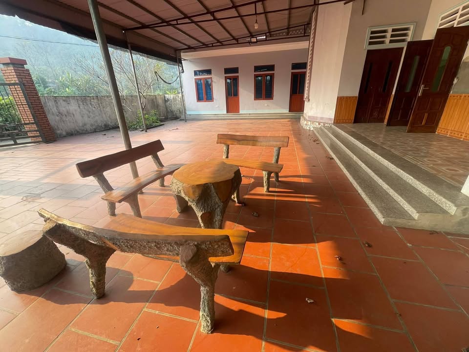 Farm tại km 28 Việt Lâm 1431m² giá 1 tỷ - Tiềm năng phát triển lớn!