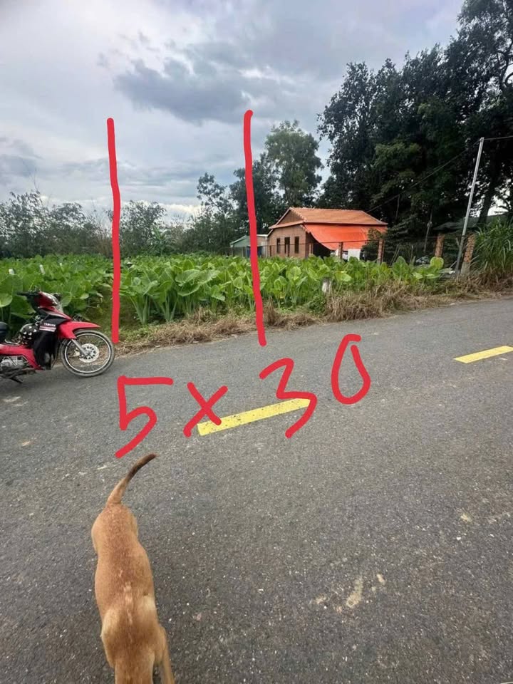 Bán đất phường Tân Khánh 150m² giá chỉ 1.8 tỷ - Sổ hồng riêng, xây dựng tự do!