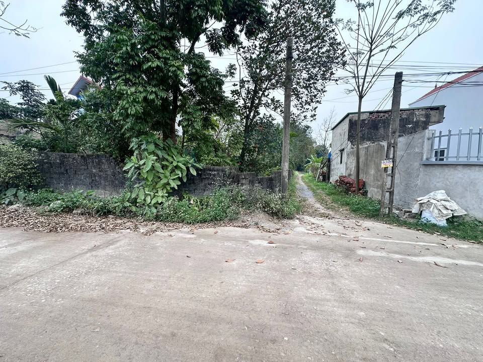 Đất thổ cư Thôn An Cư - Trầm Lộng 101,5m² giá chỉ 2 tỷ - Sổ hồng chính chủ!