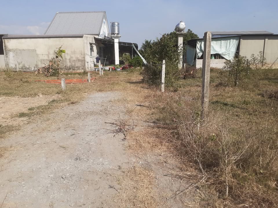 Đất nền Phước Thạnh, Gò Dầu 125m² giá 499 triệu - Giao dịch nhanh gọn!