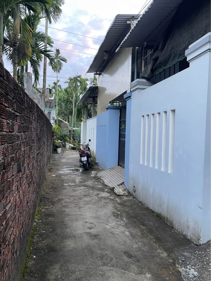 Đất nền tại hẻm 416 Nguyễn Trãi, Quận 5, 50m² - Giá chỉ 490 triệu thương lượng!