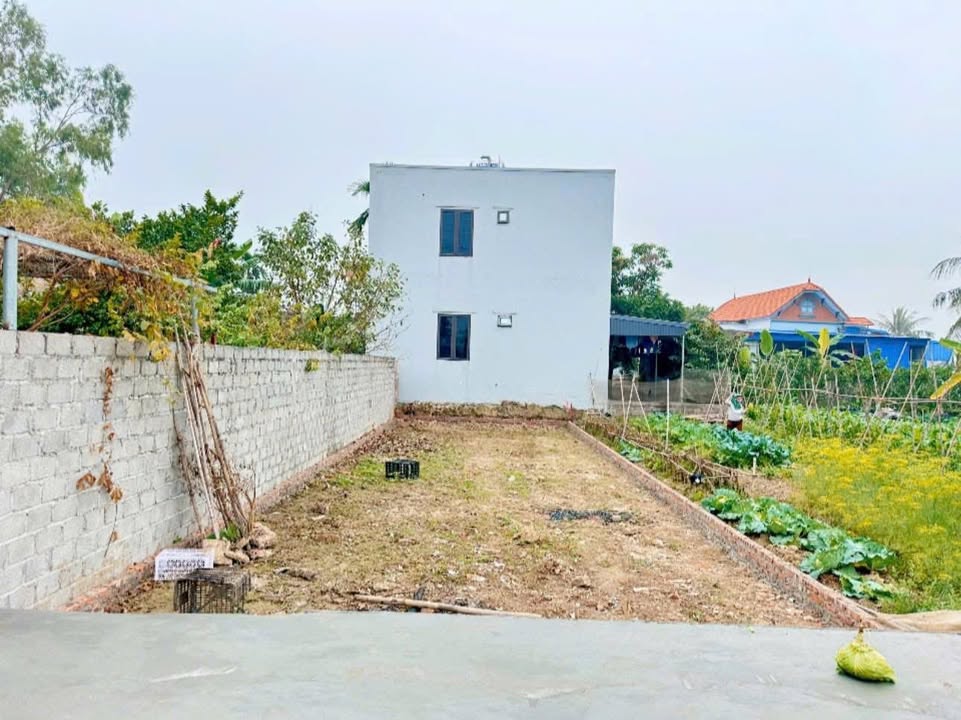 Lô đất mặt đường Minh Tân, Kiến Thụy, 112,5m² - Đầu tư sinh lời ngay!