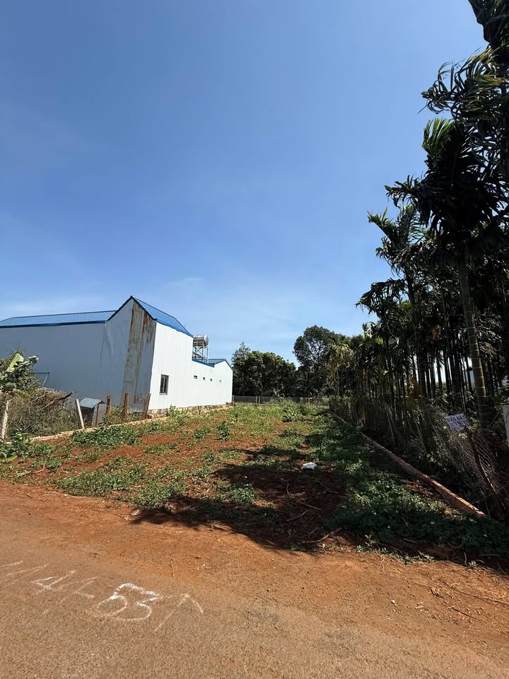 Đất thổ cư 360m² tại hẻm cấp 1 QL26, Tân Tiến - Giá 3.2 tỷ thương lượng nhẹ!