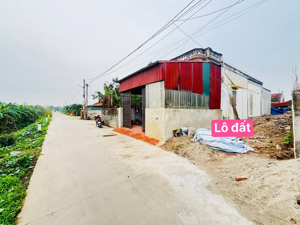 Đất nền xã Thái Hòa, huyện Kim Động, 84m² - Giá hấp dẫn cho đầu tư!