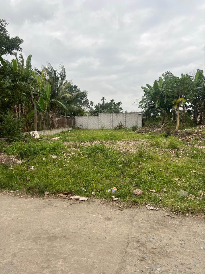 Đất nền đẹp tại Điện Thắng Bắc, 270m² - Giá thỏa thuận hợp lý!