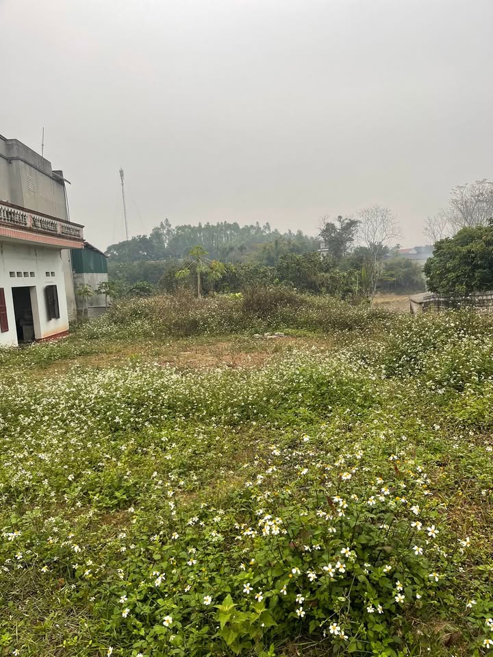 Đất nền Đồng Tâm, Yên Thế, Bắc Giang - 100m² giá chỉ 1 tỷ - Cơ hội đầu tư hấp dẫn!