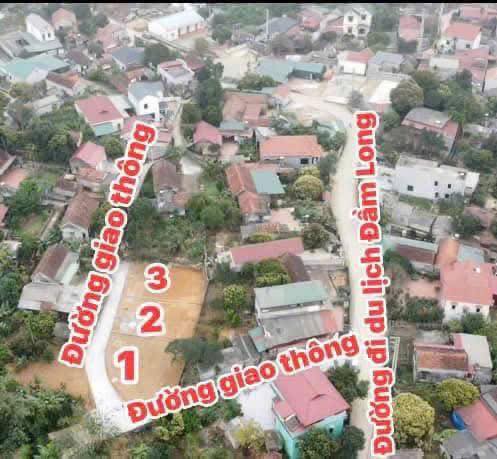 Đất nền Bằng Tạ, Cẩm Lĩnh, Ba Vì 200m² - Đầu tư sinh lời hấp dẫn!