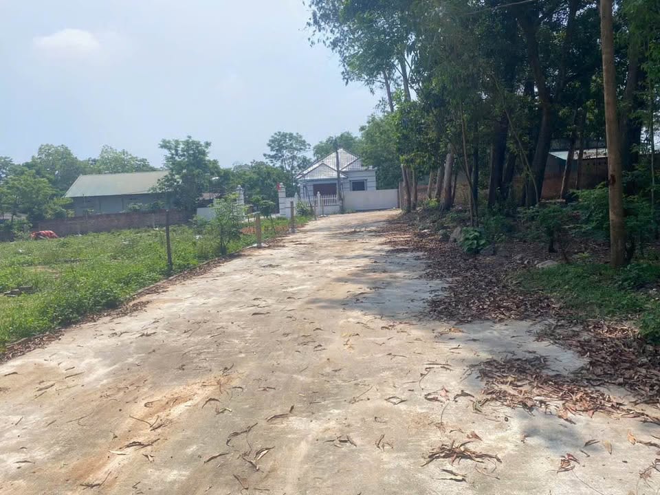 Đất nền Hoàng Hoa, Tam Dương 120m² giá 500 triệu - Cơ hội đầu tư hấp dẫn!