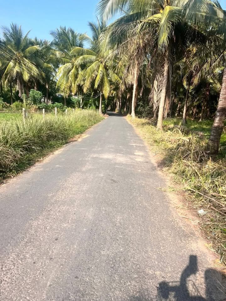 Đất mặt tiền đường lộ nhựa Xã Châu Hưng 2120m² giá 80 triệu/m ngang - Cơ hội đầu tư tuyệt vời!