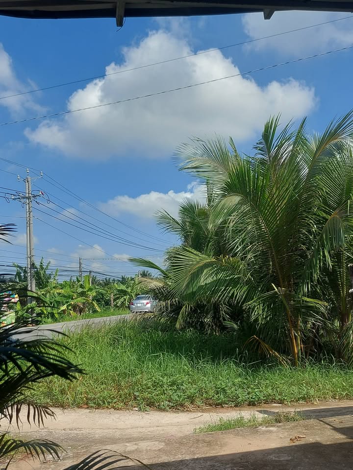 Nhà mặt tiền Quốc lộ 57B, Bình Đại, Bến Tre 729m² - Chính chủ bán gấp!