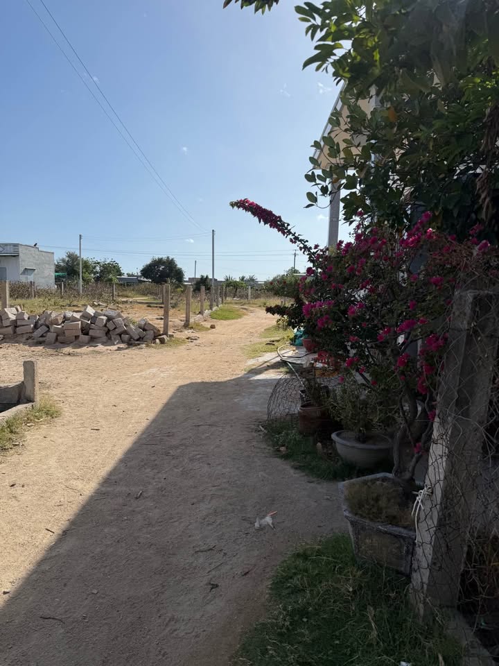 Đất nền Mỹ Tường, Vĩnh Hải 159m² giá 500 triệu - Cơ hội đầu tư hấp dẫn!