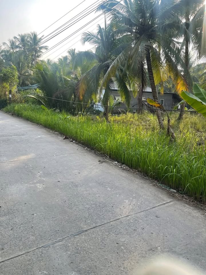 Đất nền Hòa Phú, Định Thủy 1012m² giá 1.1 tỷ - Đầu tư sinh lời tuyệt vời!