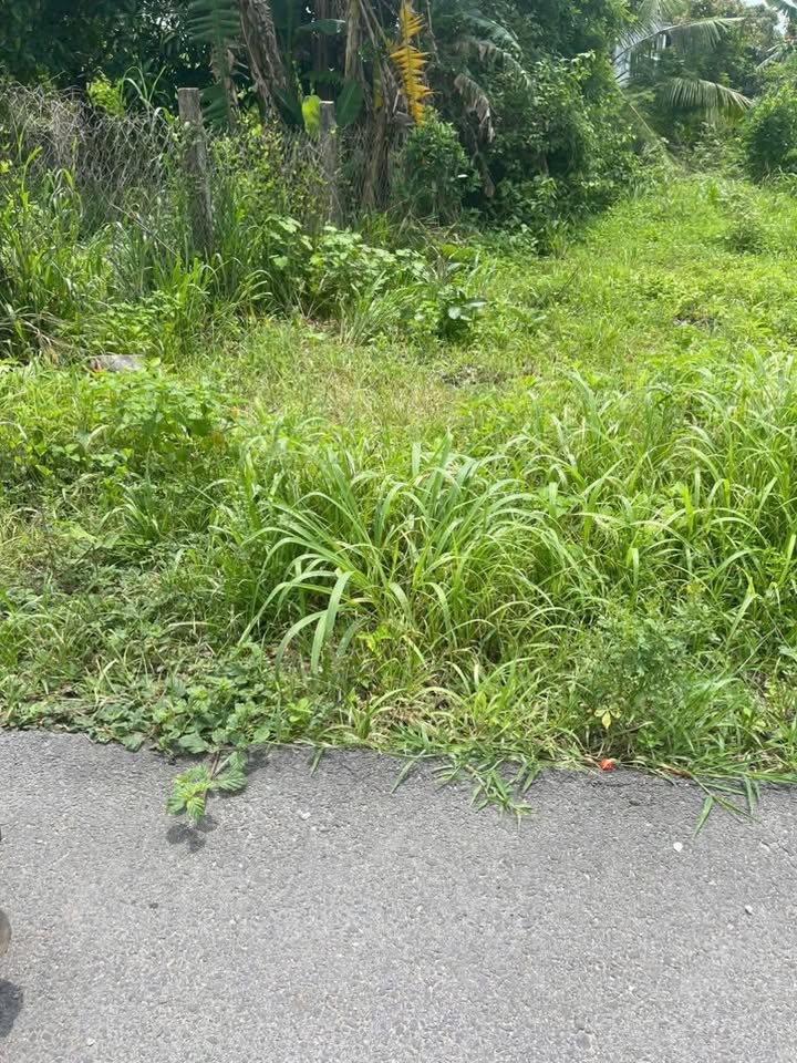 Đất thổ cư 260m² tại Xã Long Nguyên, Huyện Bàu Bàng, giá 1.6 tỷ - Đường nhựa thông thoáng!