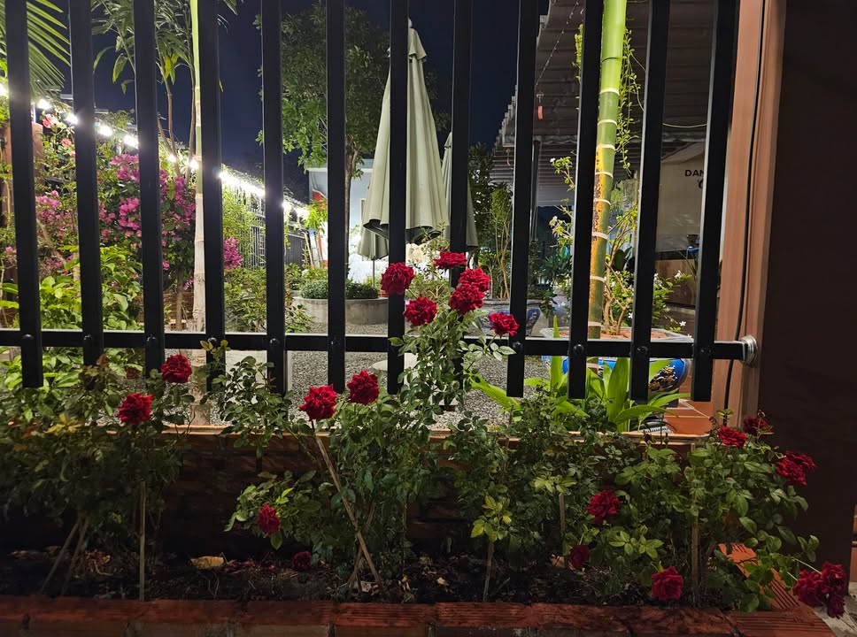 Đất mặt tiền Xô Viết Nghệ Tĩnh, Vũng Tàu 314m² giá 31 tỷ - Cơ hội đầu tư tuyệt vời!