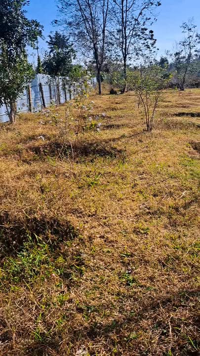 Đất nền 936m² xã Ea Tiêu, huyện Cư Kuin chỉ 1.2 tỷ - Sổ đỏ chính chủ, đầu tư sinh lời!