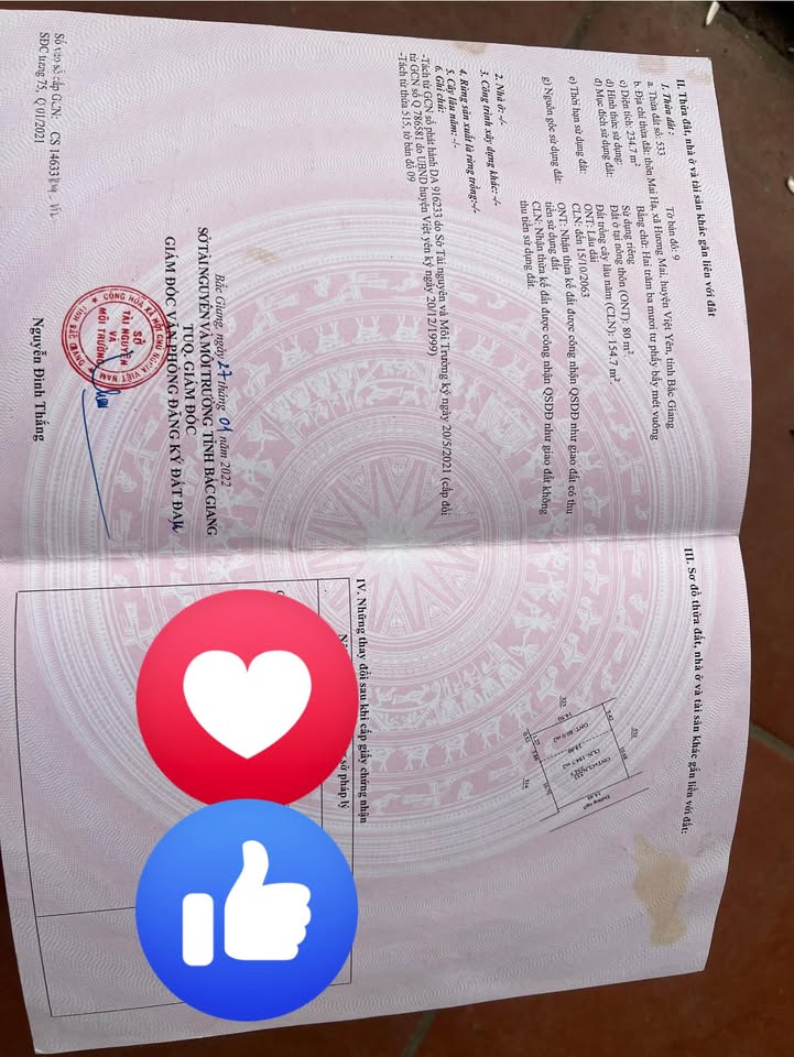 Đất nền Tổ Dân Phố Mai Hạ, Phường Tự Lạn, 234m², Giá 1 tỷ - Đường ô tô vào tận nơi!