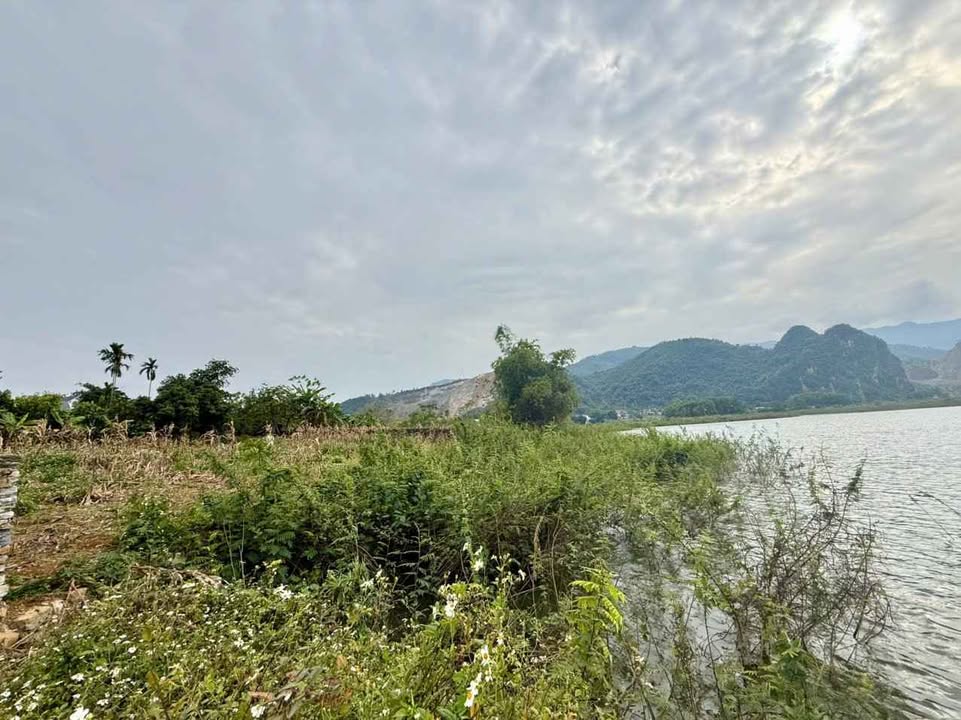 Đất Farm bám Hồ Đồng Chanh, 1200m² giá thỏa thuận - Cơ hội đầu tư hiếm có!