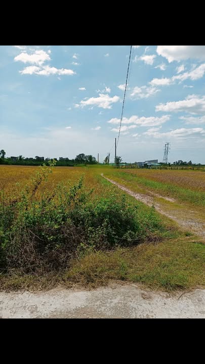 Đất nông nghiệp xã Hàm Liêm 430m² giá 200 triệu - Đầu tư sinh lời ngay!